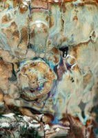 #6767 Oni-Glazed mug